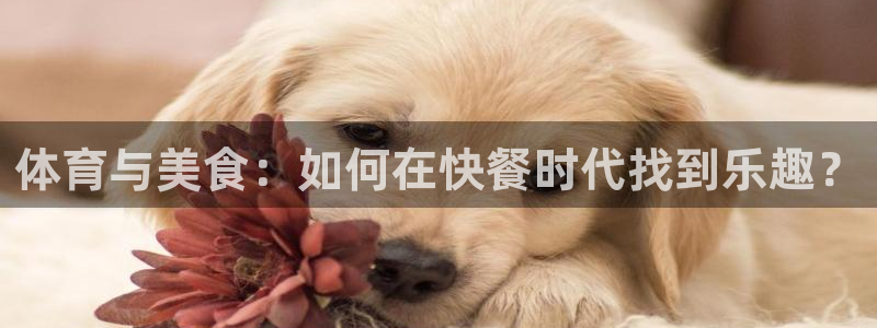 火凤体育直播高清入口：体育与美食：如何在快餐时代找到乐趣？