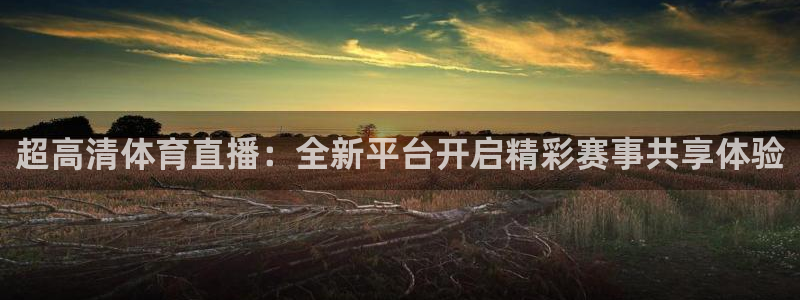 火凤斗球直播体育：超高清体育直播：全新平台开启精彩赛事共享体验