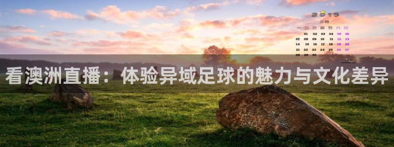 火凤斗球直播体育：看澳洲直播：体验异域足球的魅力与文化差异