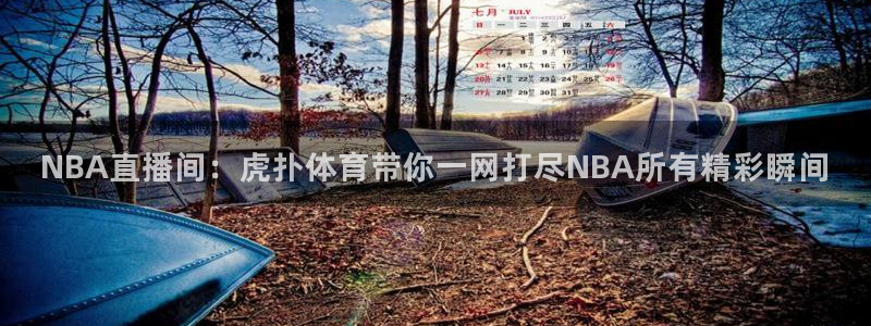 nba火凤直播：NBA直播间：虎扑体育带你一网打尽NBA所有精彩瞬间