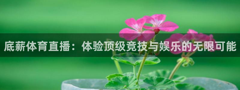 火凤体育nba直播：底薪体育直播：体验顶级竞技与娱乐的无限可能