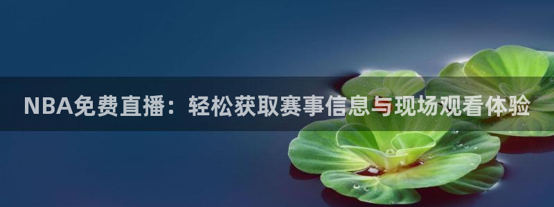 火凤直播体育app下载安装：NBA免费直播：轻松获取赛事信息与现场观看体验
