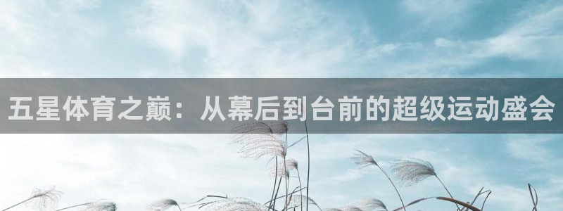 火凤体育：五星体育之巅：从幕后到台前的超级运动盛会