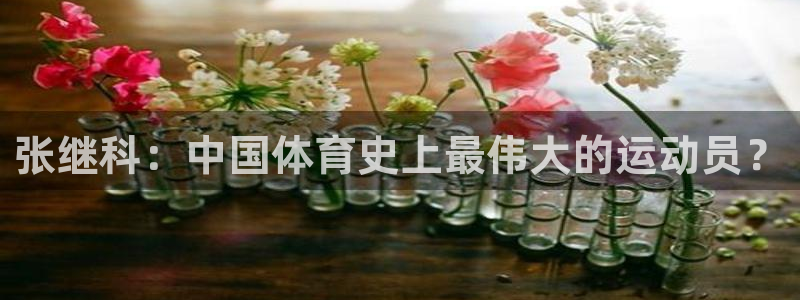 火凤足球直播免费观看：张继科：中国体育史上最伟大的运动员？