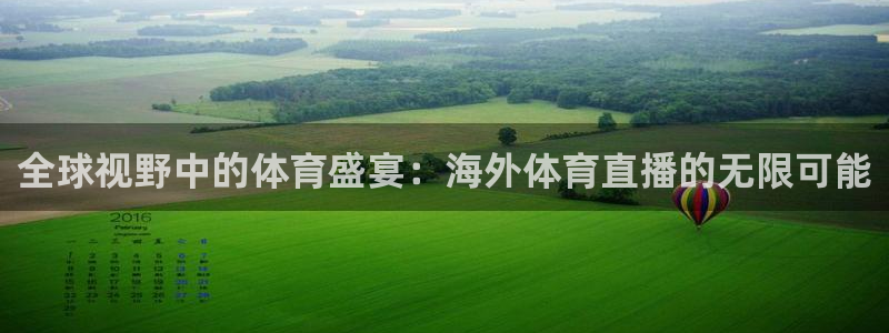 火凤足球直播免费观看：全球视野中的体育盛宴：海外体育直播的无限可能