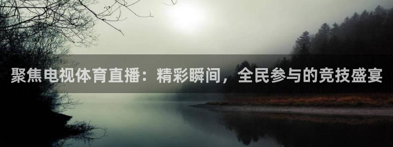 火凤直播体育直播：聚焦电视体育直播：精彩瞬间，全民参与的竞技盛宴