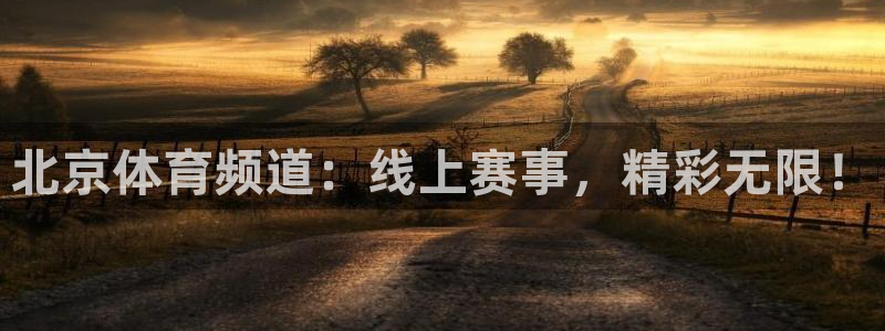 火凤体育直播在线观看高清：北京体育频道：线上赛事，精彩无限！